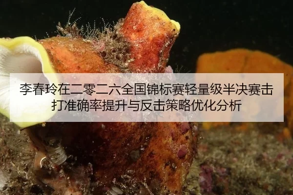 李春玲在二零二六全国锦标赛轻量级半决赛击打准确率提升与反击策略优化分析